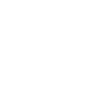 Logo Norne Vettoriale 4