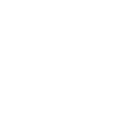 Logo Norne Vettoriale 4